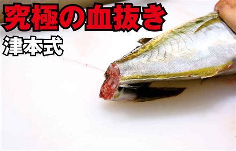 魚血